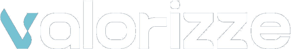 Valorizze Consultoria Empresarial